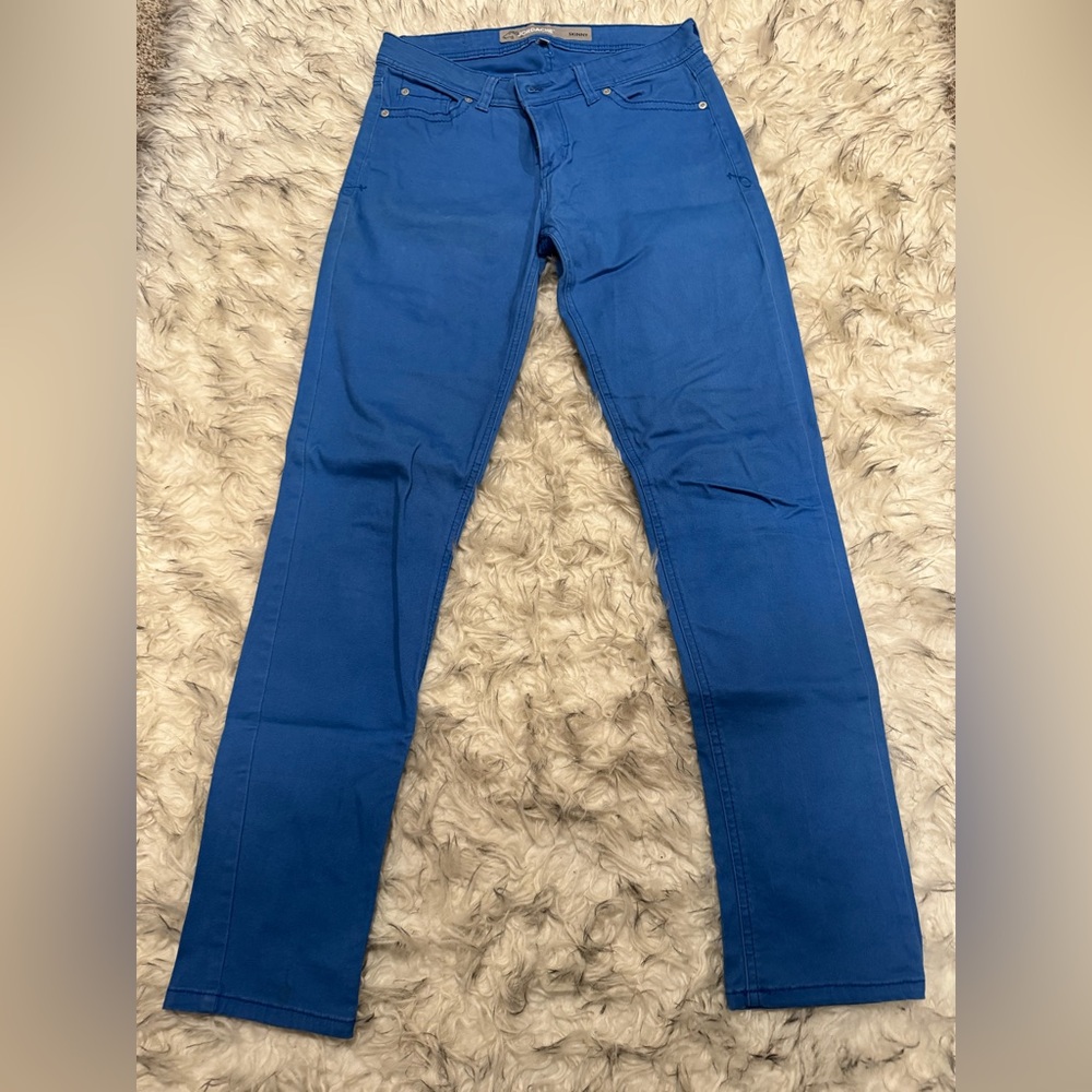 Jordache Blue Skinny Jeans Classic Denim